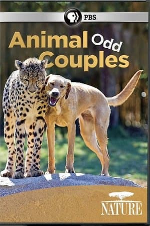 Animal Odd Couples streaming