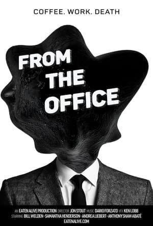 From the Office streaming