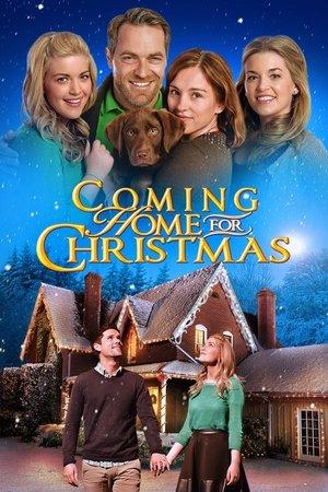 Coming Home for Christmas streaming