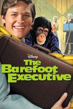 The Barefoot Executive streaming