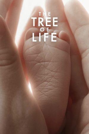 The Tree of Life streaming