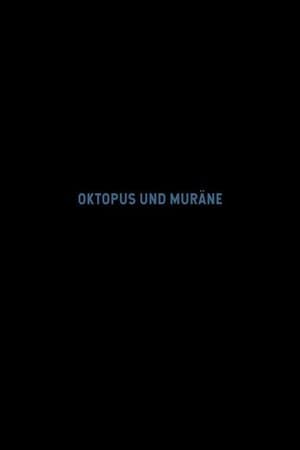 Oktopus und Muräne streaming