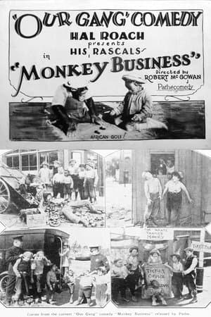 Monkey Business streaming