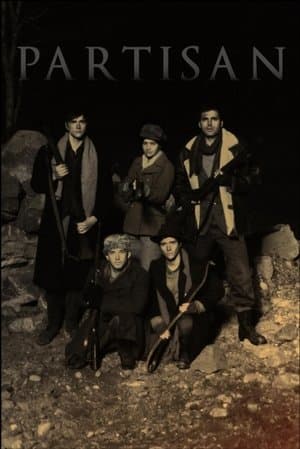 Partisan streaming