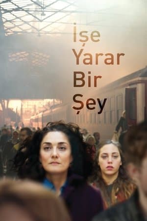 İşe Yarar Bir Şey streaming