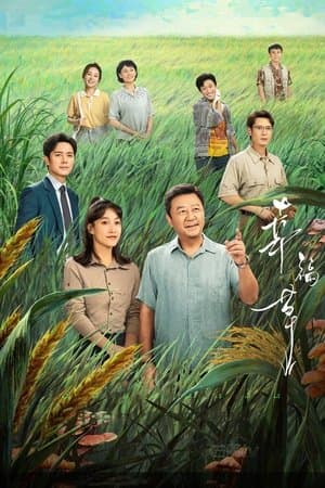 Happiness Jun Cao streaming