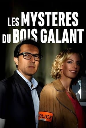 Les Mystères du Bois Galant streaming