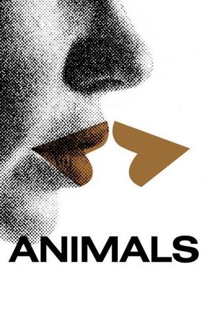 Animals streaming