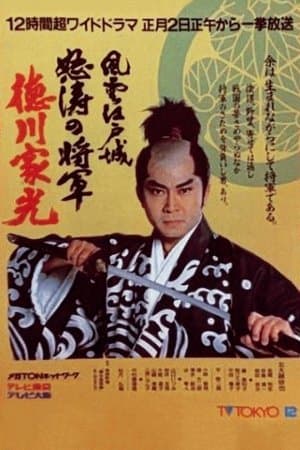 Crisis at Edo Castle - Angry Shogun Tokugawa Iemitsu streaming