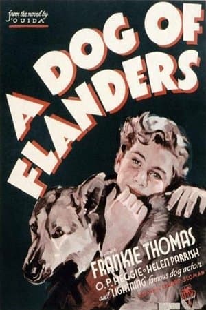 A Dog of Flanders streaming