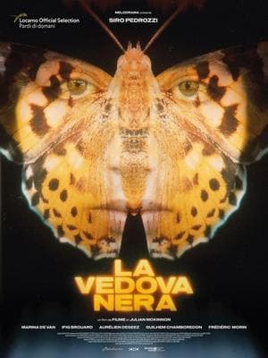La vedova nera streaming
