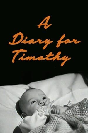 A Diary for Timothy streaming