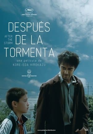 Después De La Tormenta streaming
