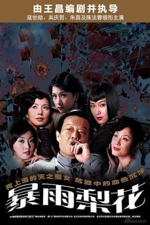 暴雨梨花 streaming