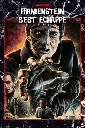 Frankenstein s'est échappé ! streaming