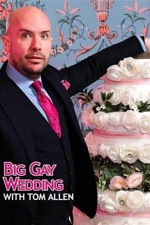 Big Gay Wedding with Tom Allen streaming