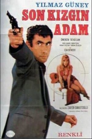 Son Kızgın Adam streaming