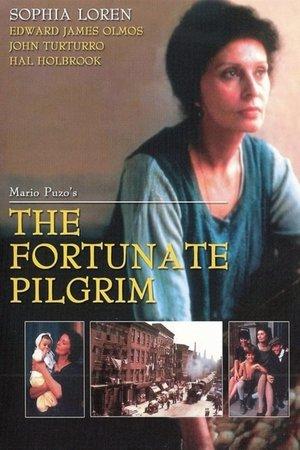 The Fortunate Pilgrim streaming