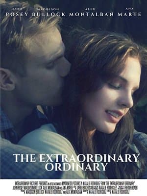 The Extraordinary Ordinary streaming
