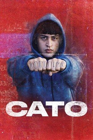 CATO streaming