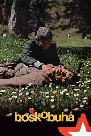 Boško Buha streaming