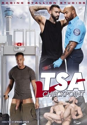 TSA Checkpoint streaming