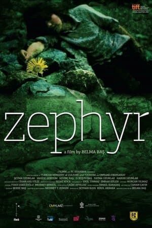 Zephyr streaming