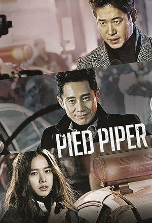 Pied Piper streaming