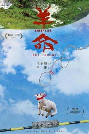 Sheep Life streaming