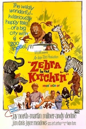 Zebra in the Kitchen streaming