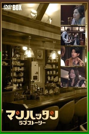 Manhattan Love Story streaming