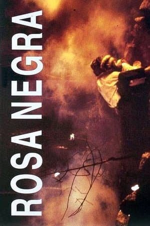 Rosa Negra streaming