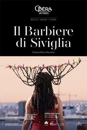 Rossini: Il Barbiere di Siviglia streaming