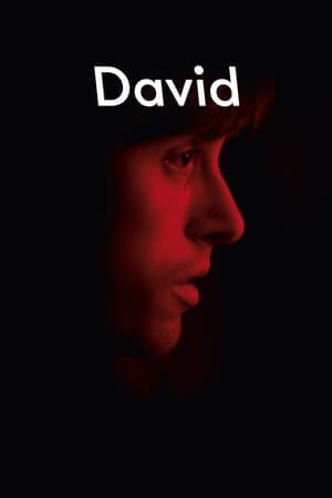 David streaming