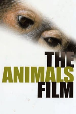 The Animals Film streaming