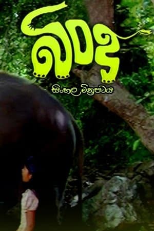Bindu streaming