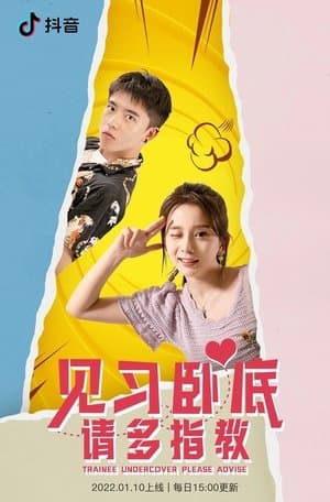 见习卧底，请多指教 streaming