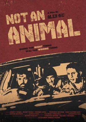 Not An Animal streaming
