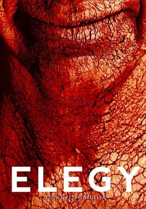 Elegy streaming