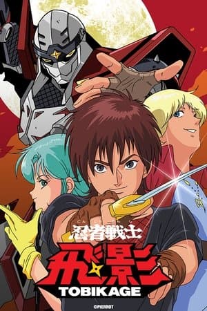 忍者戦士 飛影 streaming