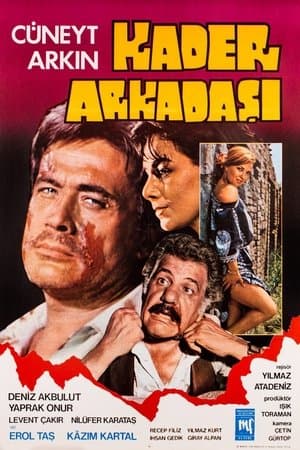 Kader Arkadaşı streaming
