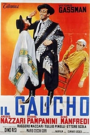 Il gaucho streaming