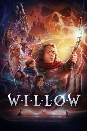Willow streaming