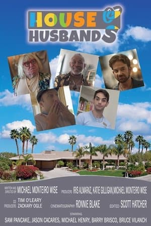 House Husbands streaming