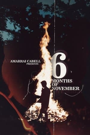 6 Months of November streaming