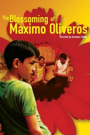 The Blossoming of Maximo Oliveros streaming