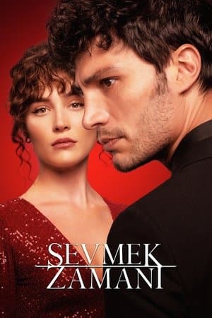 Sevmek Zamanı streaming