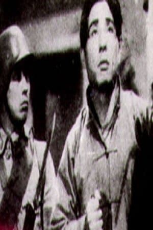 保卫我们的土地 streaming