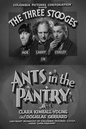 Ants in the Pantry streaming