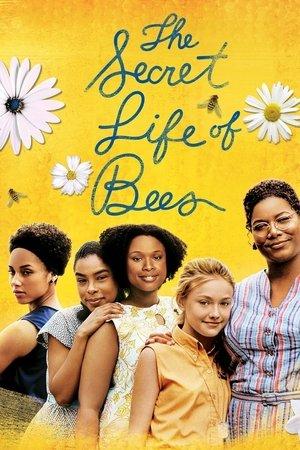 The Secret Life of Bees streaming